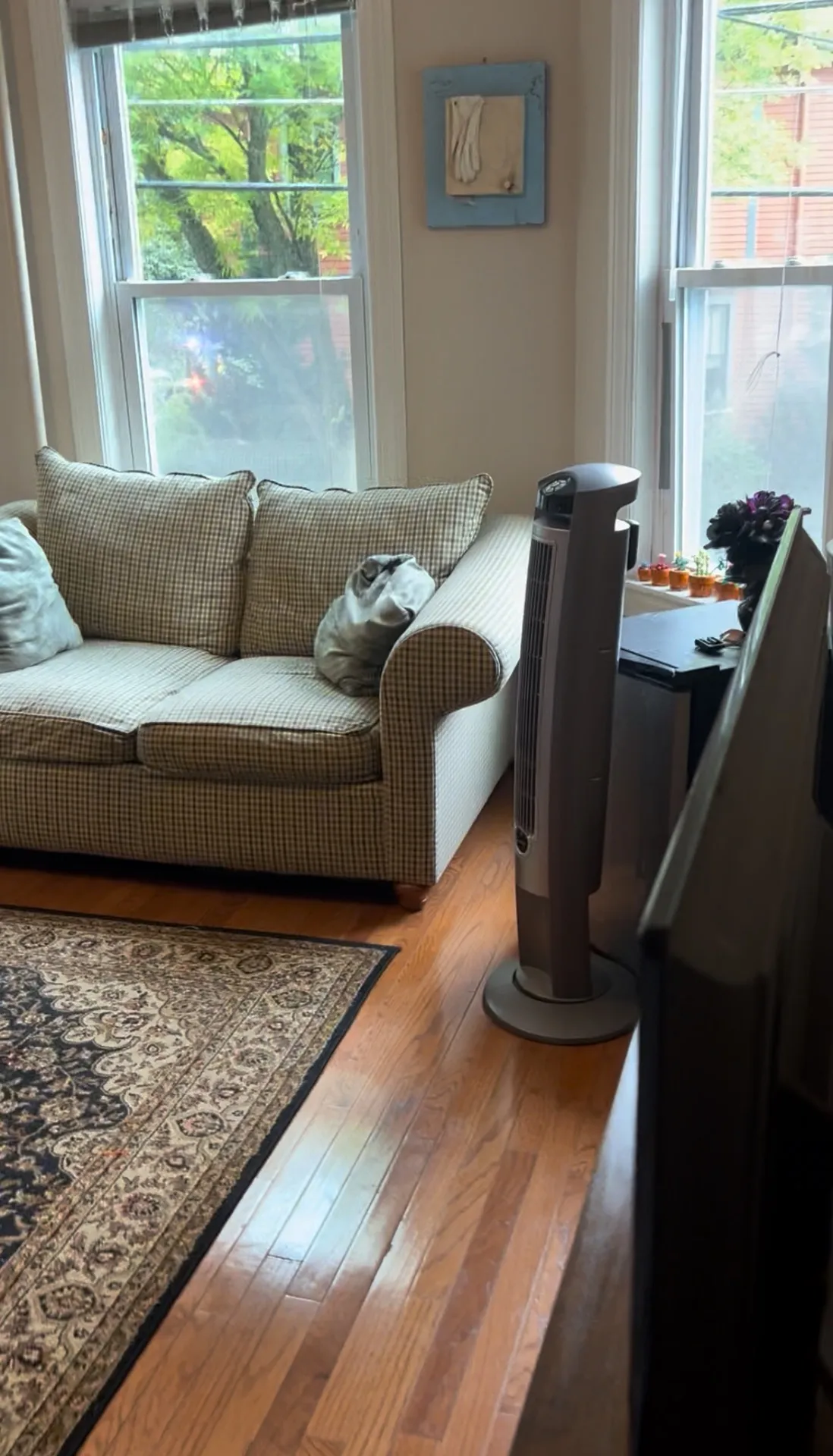 Summer 2025 sublet near Tufts — photo 5