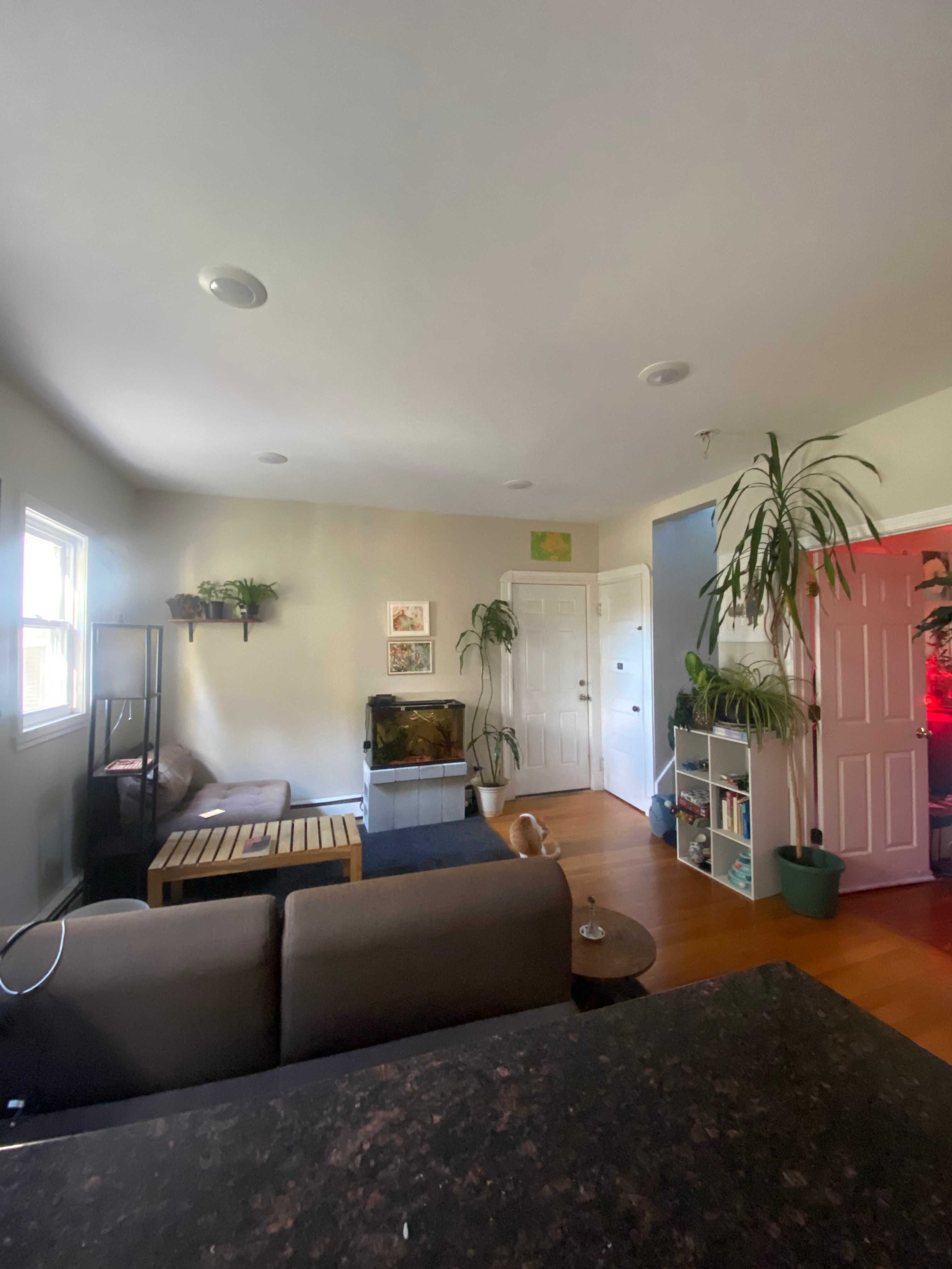 Spring 2025 sublet near Tufts — photo 2