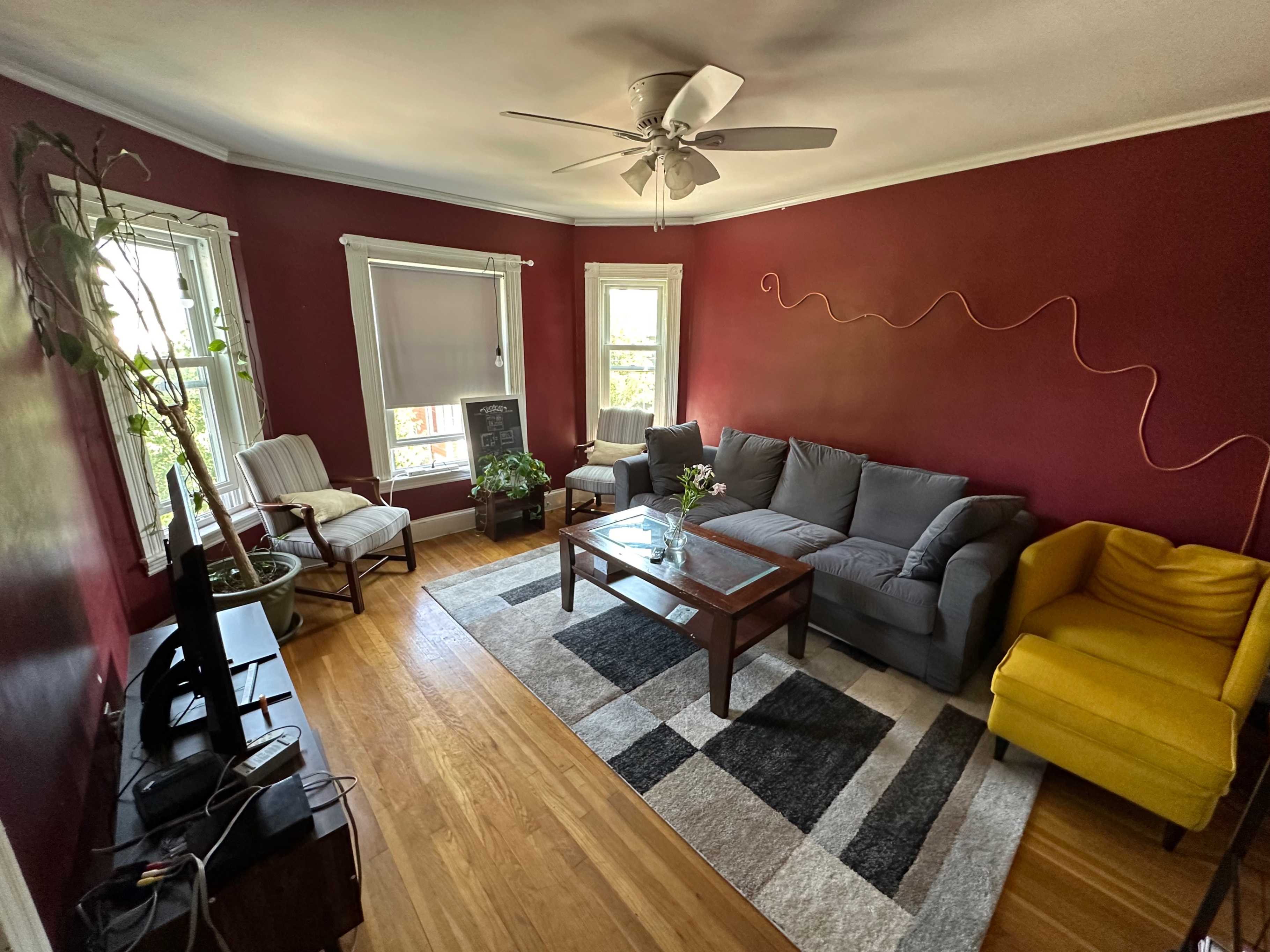 Spring 2025 sublet near Tufts — photo 5