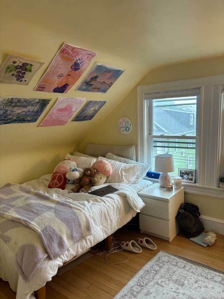 Spring 2025 sublet near Tufts — photo 3