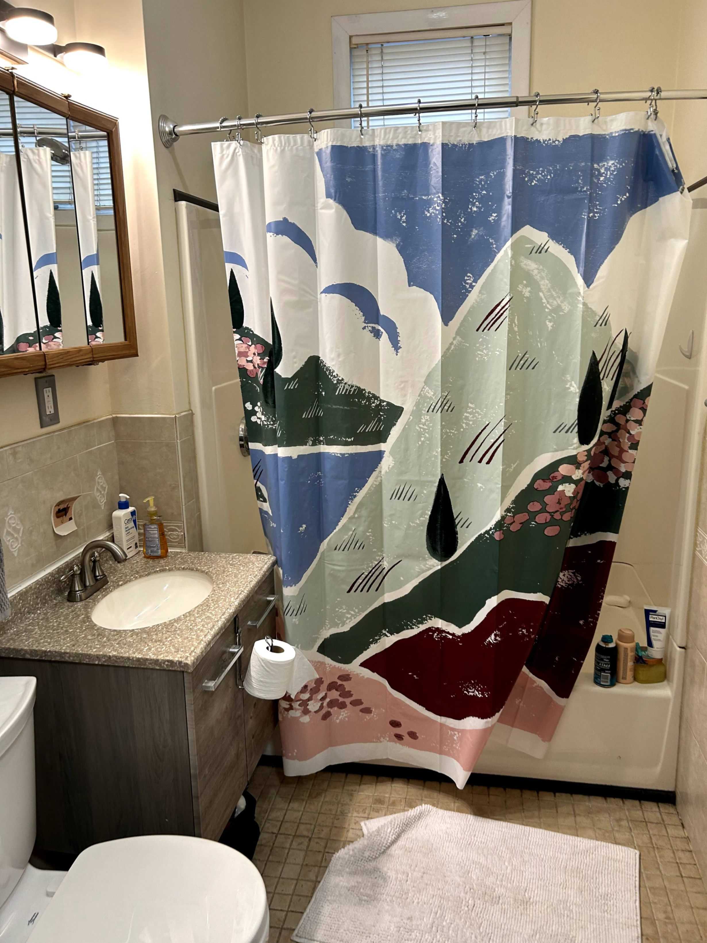 Spring 2025 sublet near Tufts — photo 6