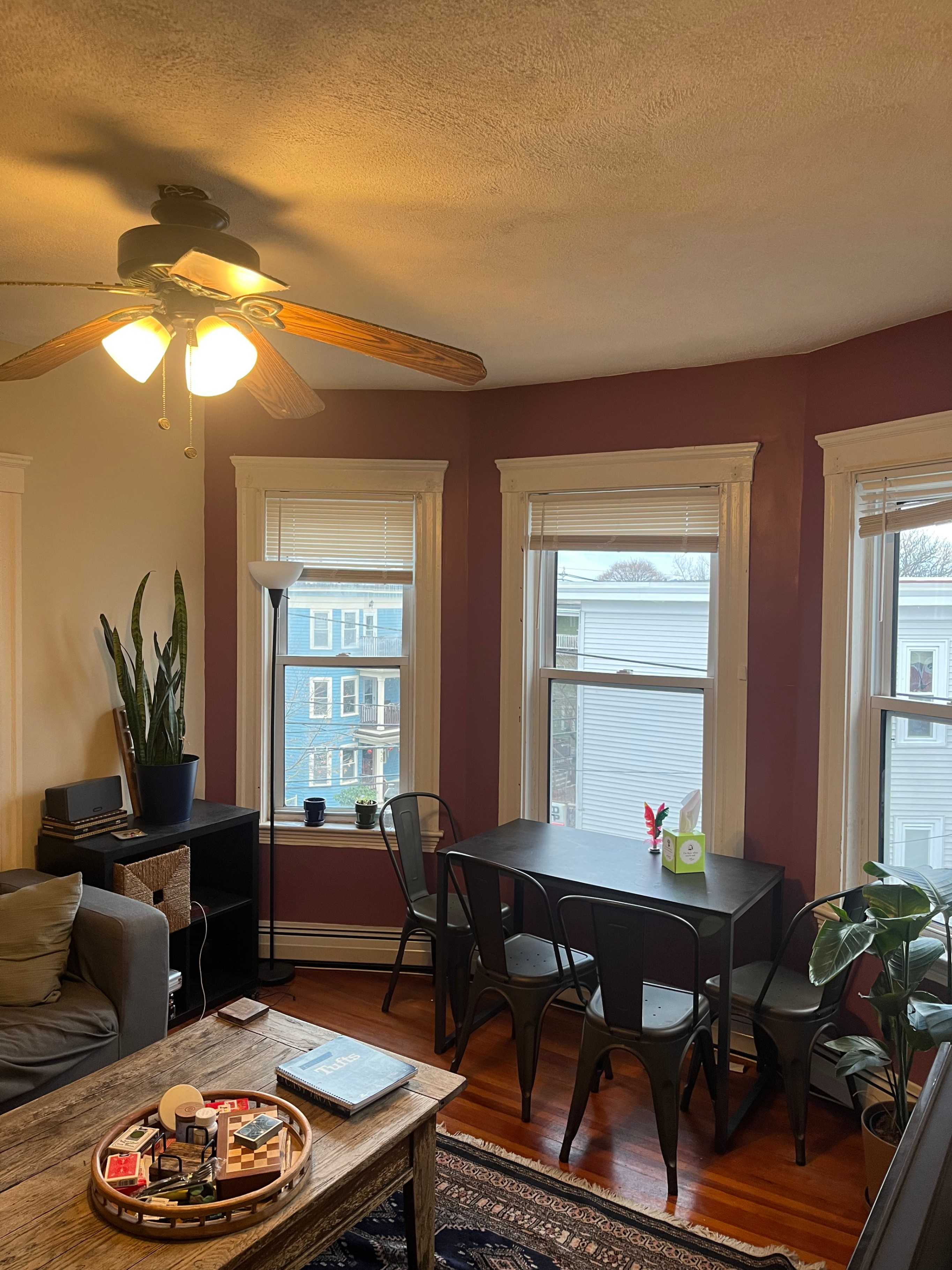 Spring 2025 sublet near Tufts — photo 2