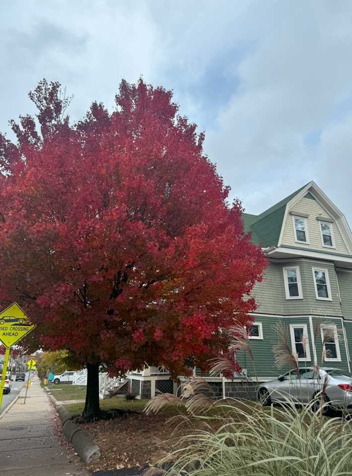 Spring 2025 sublet near Tufts — photo 4