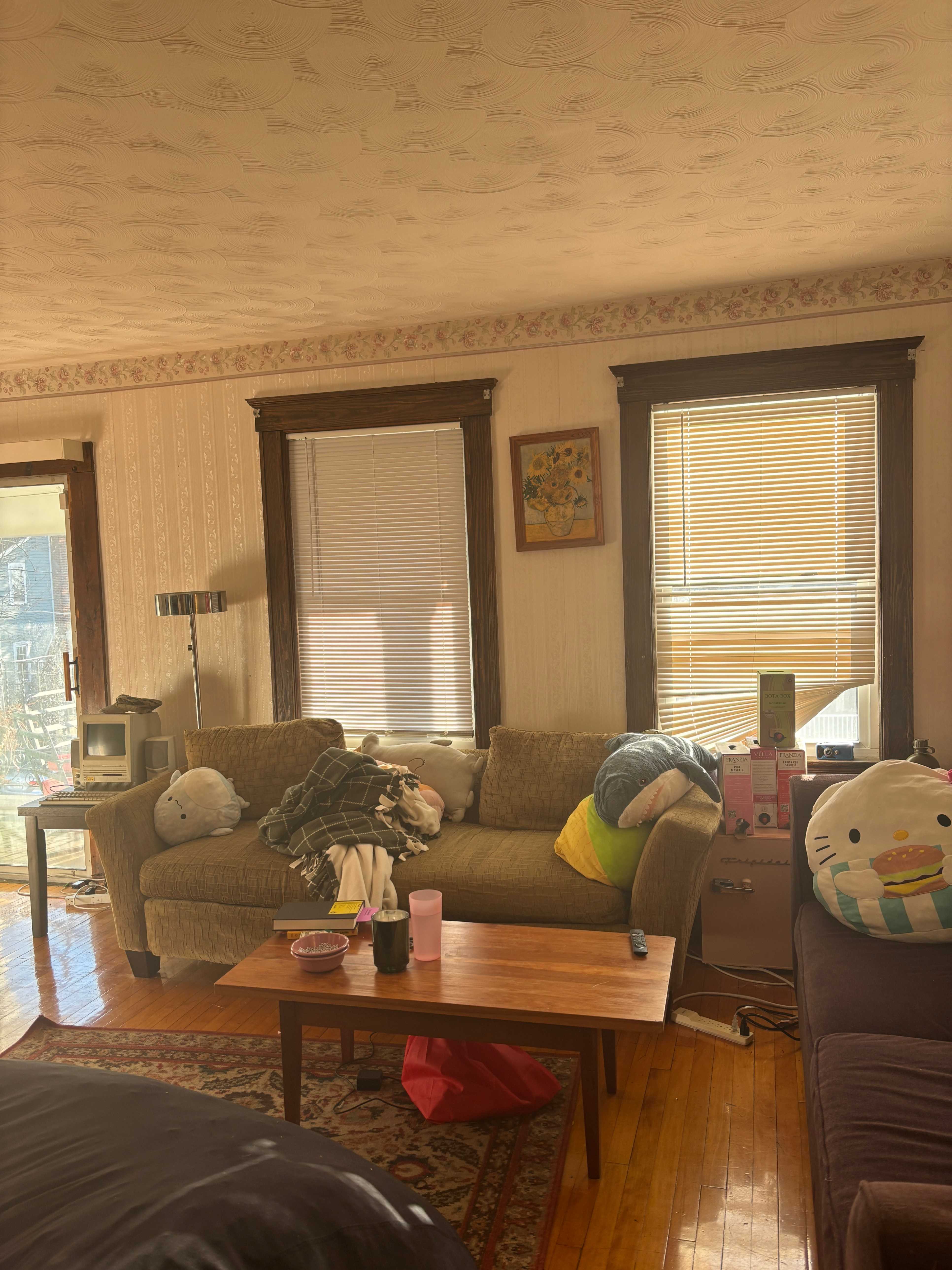 Spring 2025 sublet near Tufts — photo 4