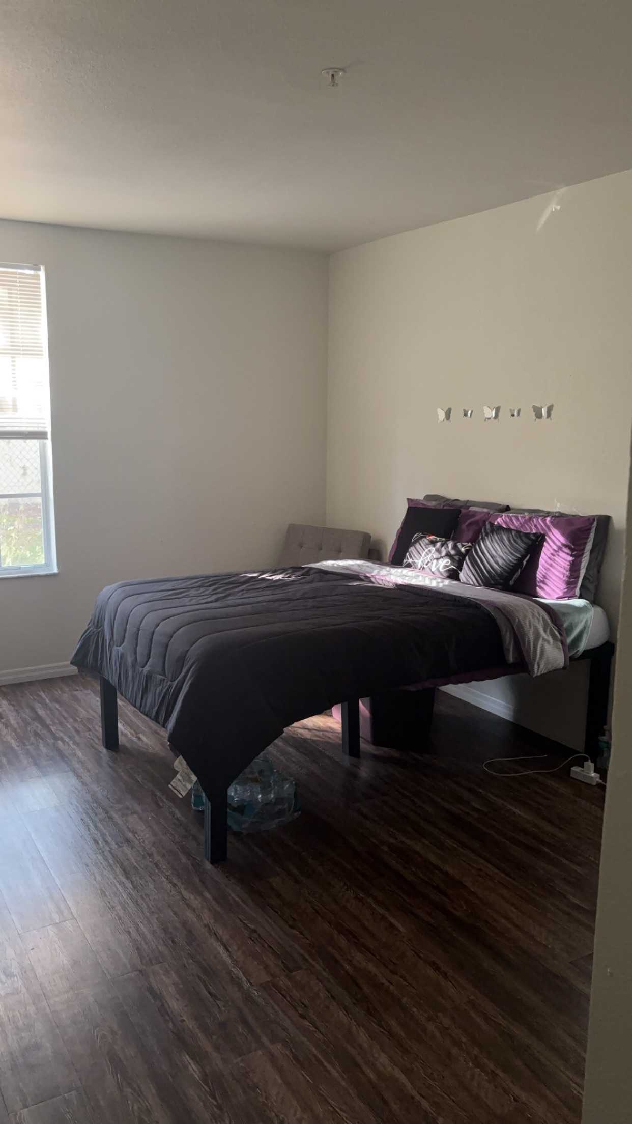 Spring 2025 sublet near UCF — photo 3