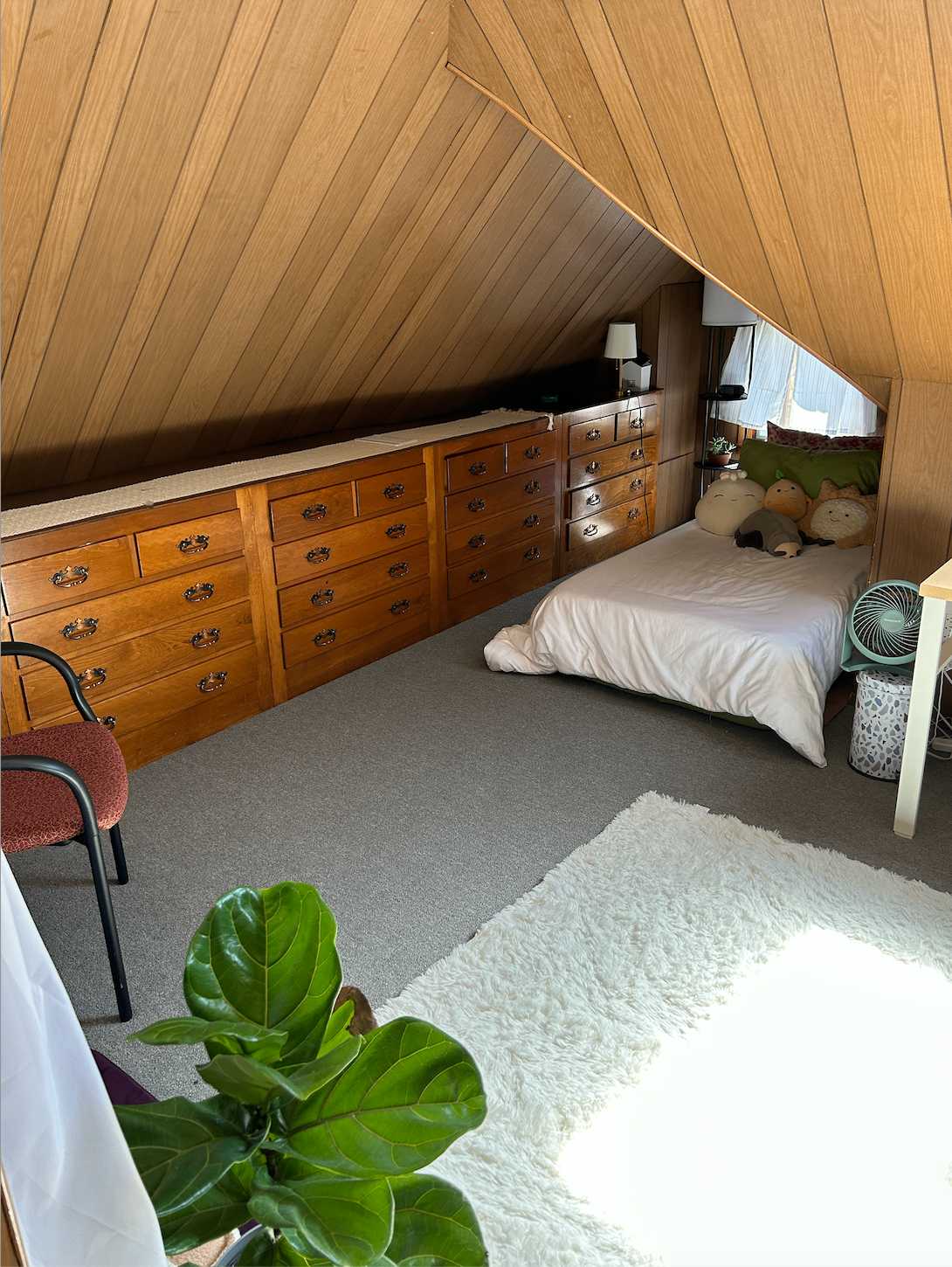Summer 2025 sublet near Tufts — photo 1