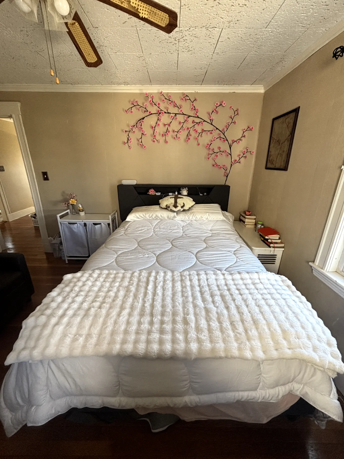 Summer 2025 sublet near Tufts — photo 3
