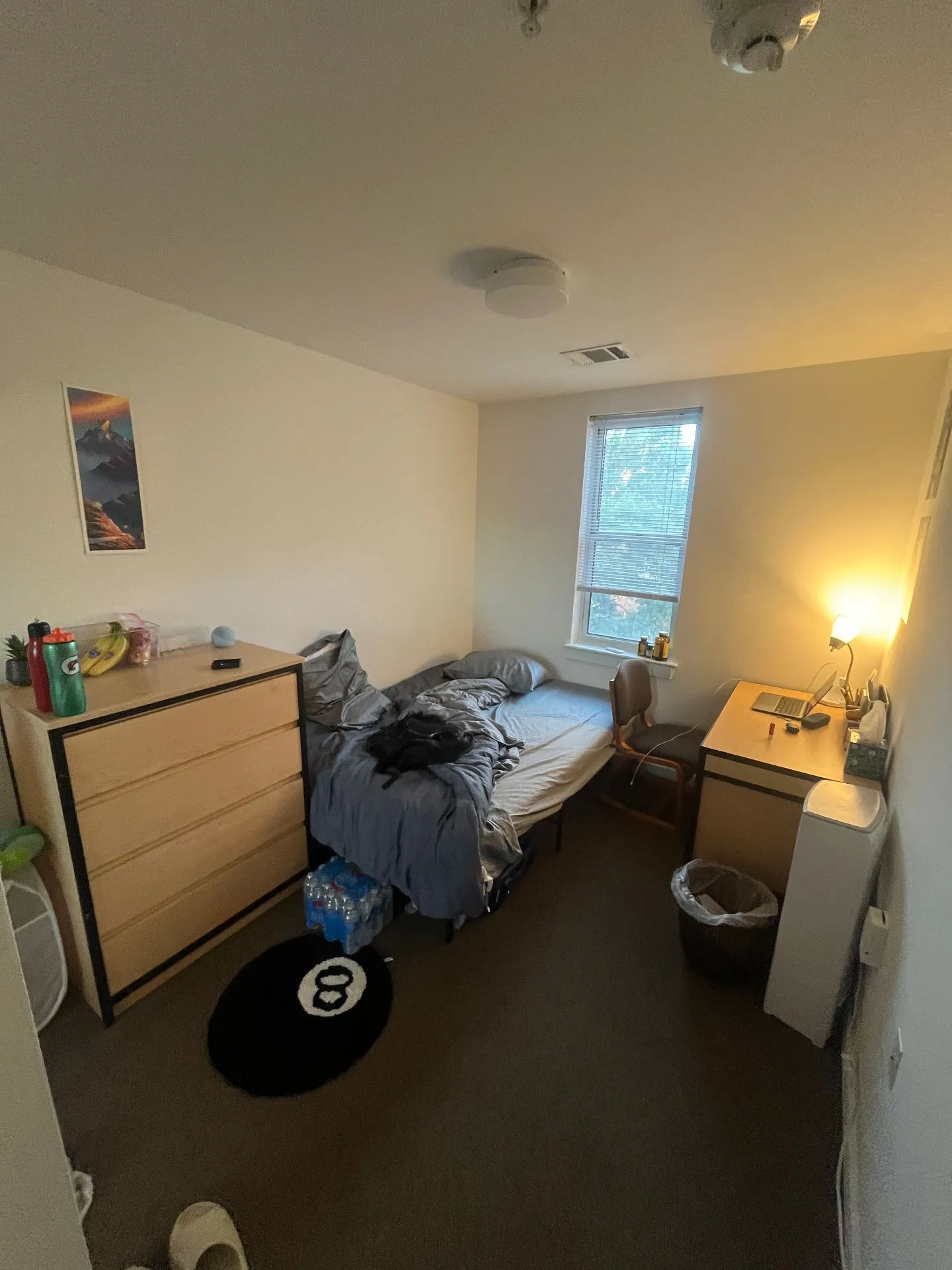 Fall 2025 sublet near UMD — photo 2