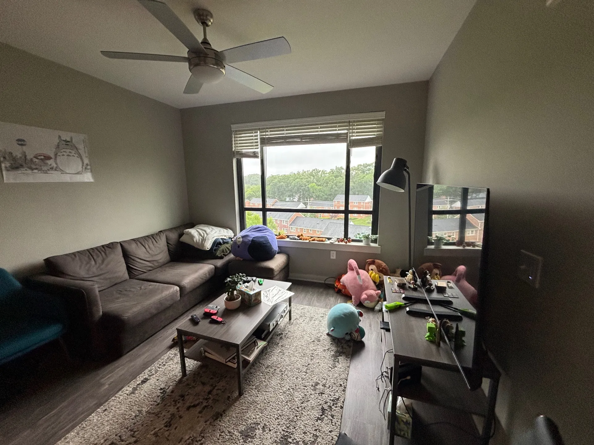 Summer 2025 sublet near UMD — photo 6