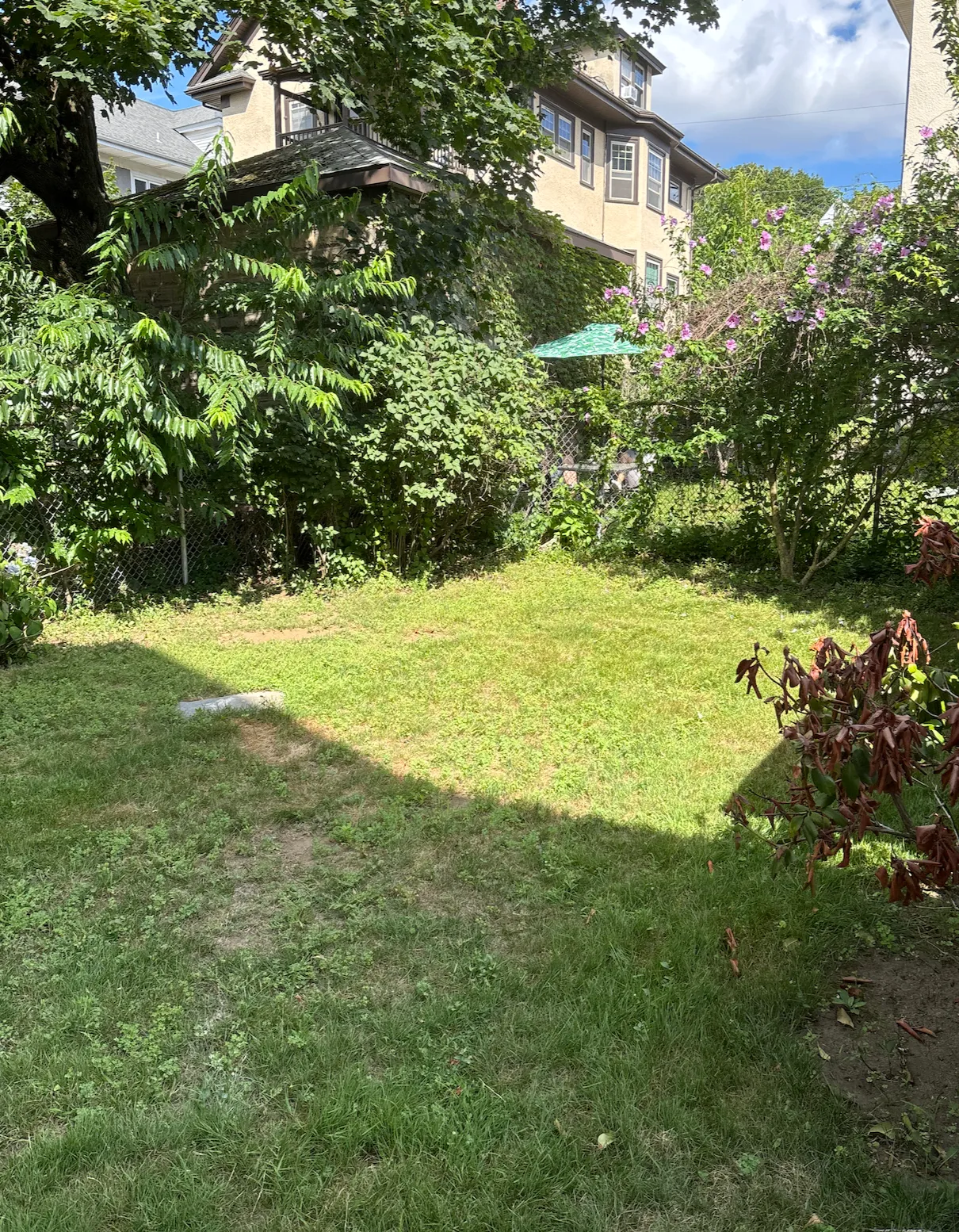 Summer 2026 sublet near Tufts — photo 6