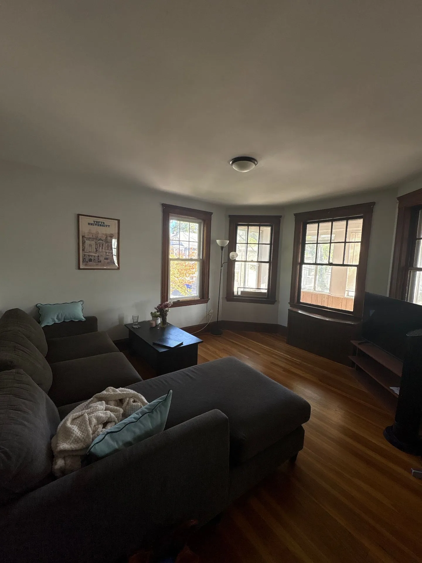 Spring 2026 sublet near Tufts — photo 4