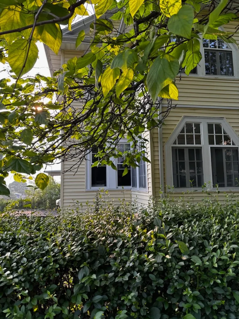 Spring 2026 sublet near Tufts — photo 3