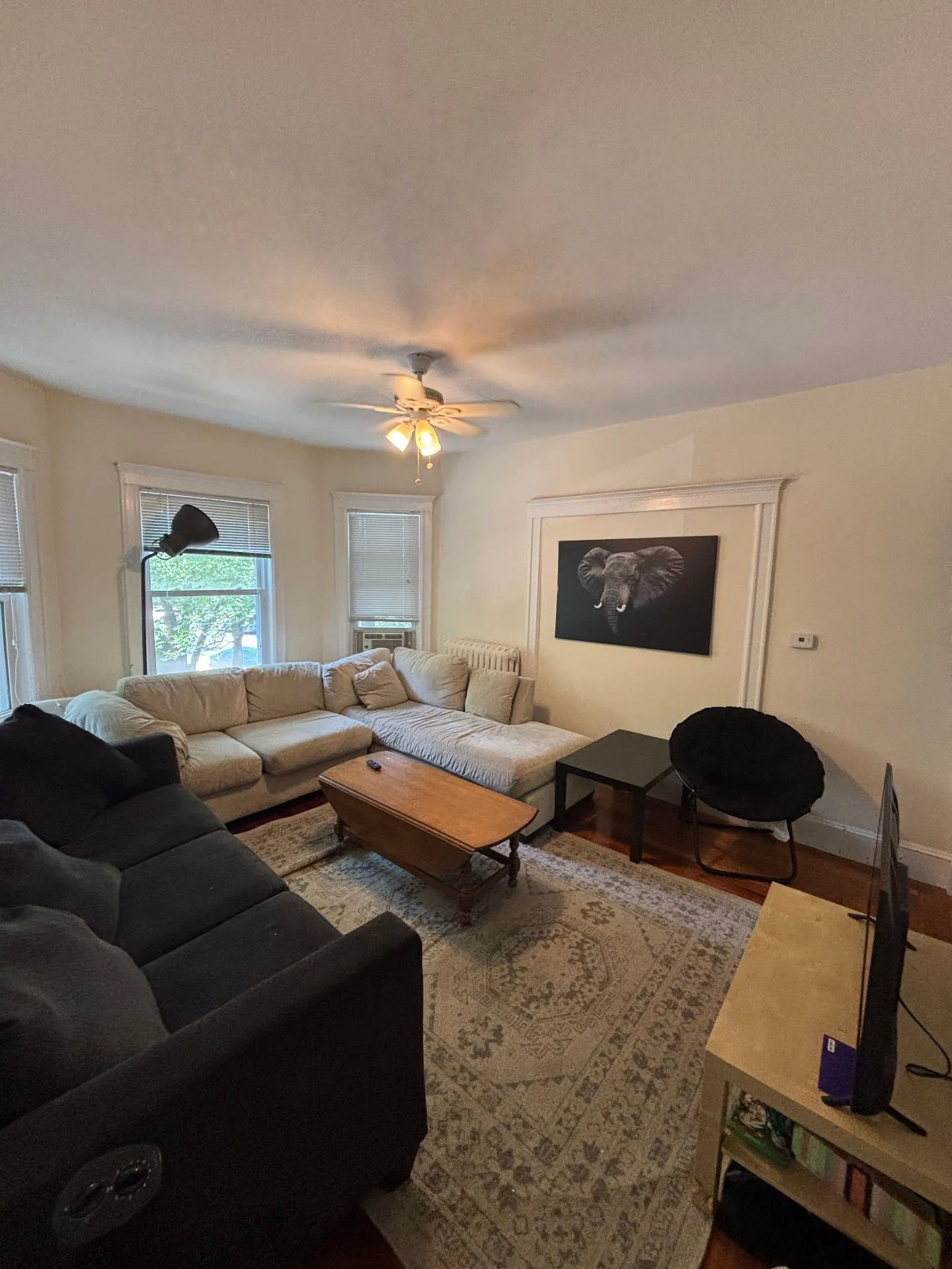 Spring 2027 sublet near Tufts — photo 3
