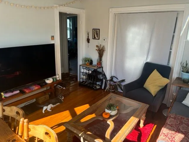 Spring 2026 sublet near Tufts — photo 3