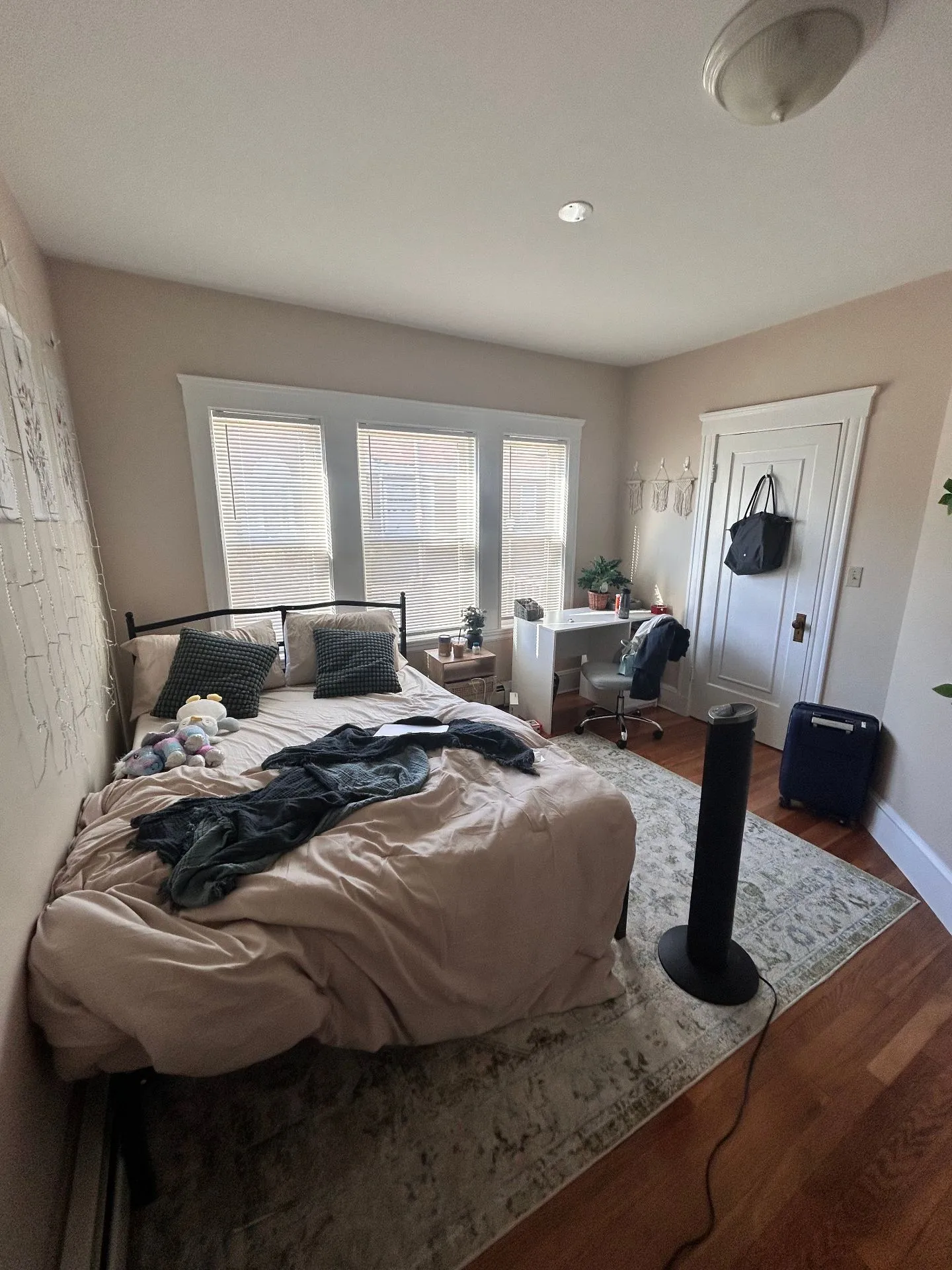 Spring 2026 sublet near Tufts — photo 4