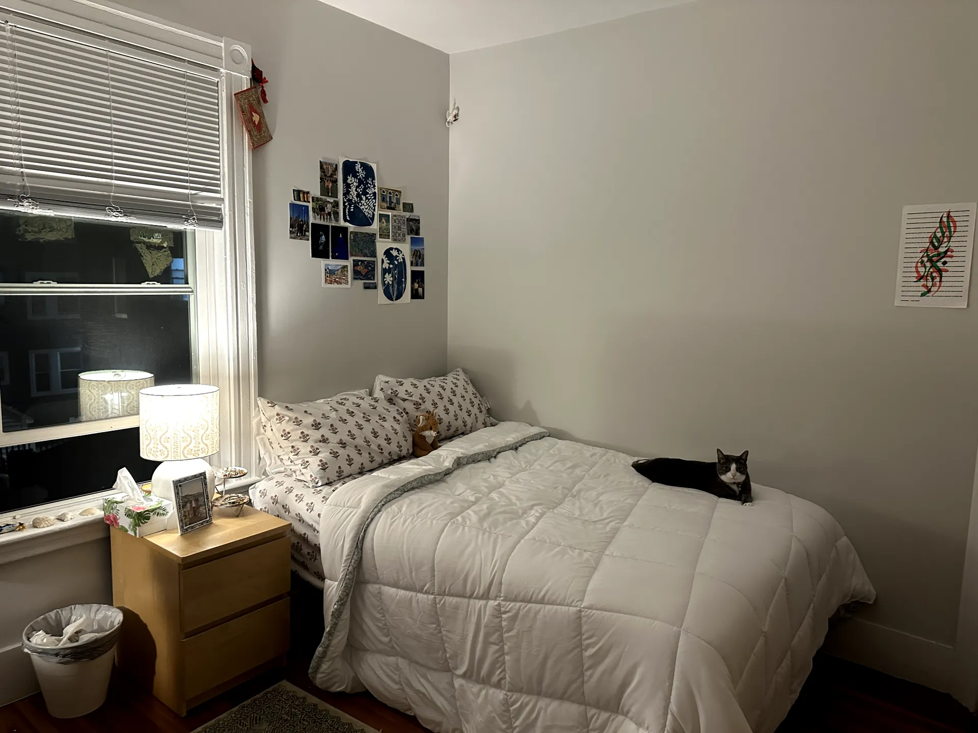 Spring 2026 sublet near Tufts — photo 2