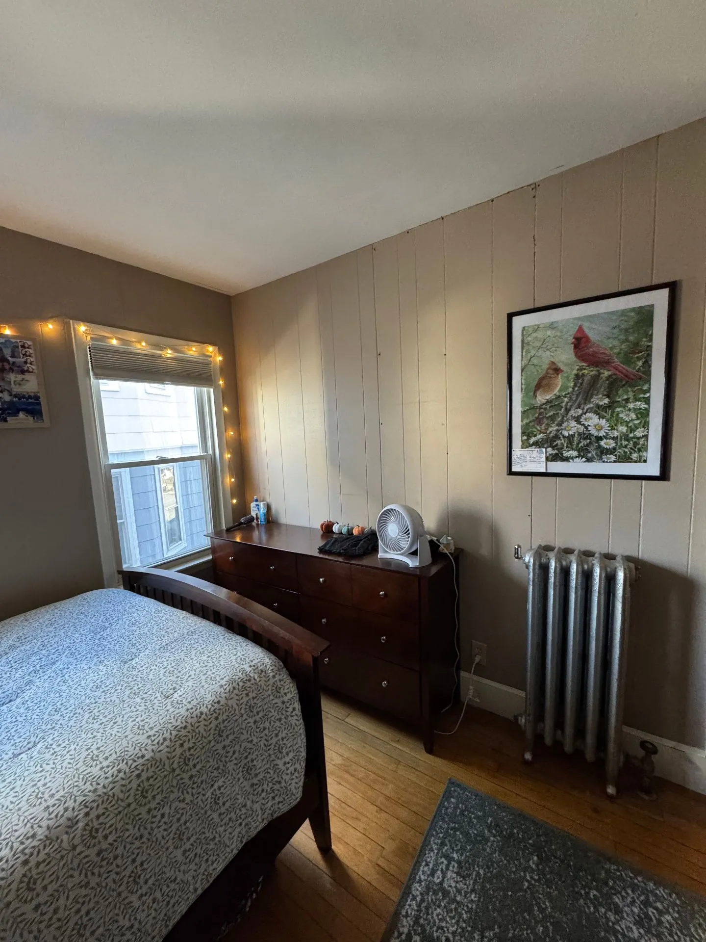 Spring 2026 sublet near Tufts — photo 3