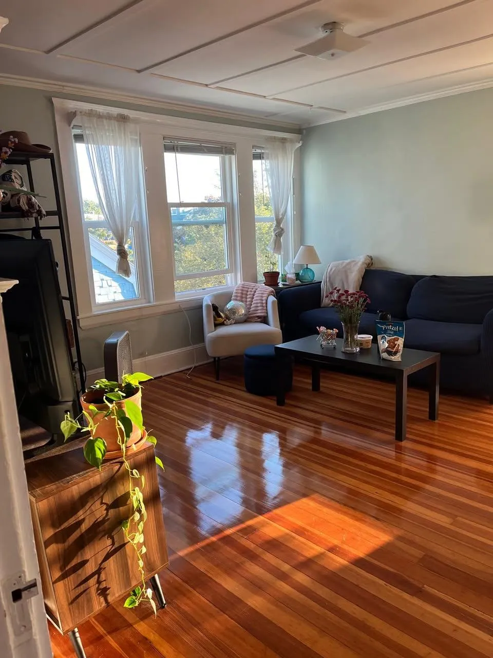 Summer 2026 sublet near Tufts — photo 4