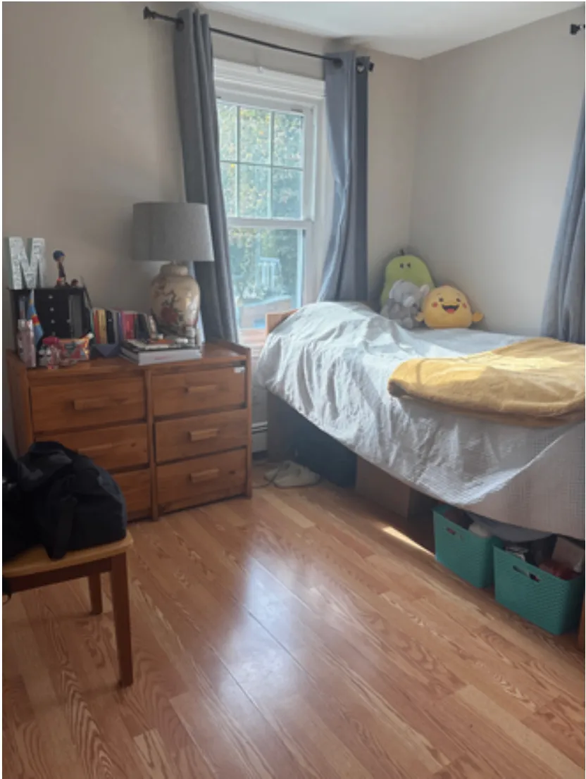 Spring 2026 sublet near Emerson — photo 3
