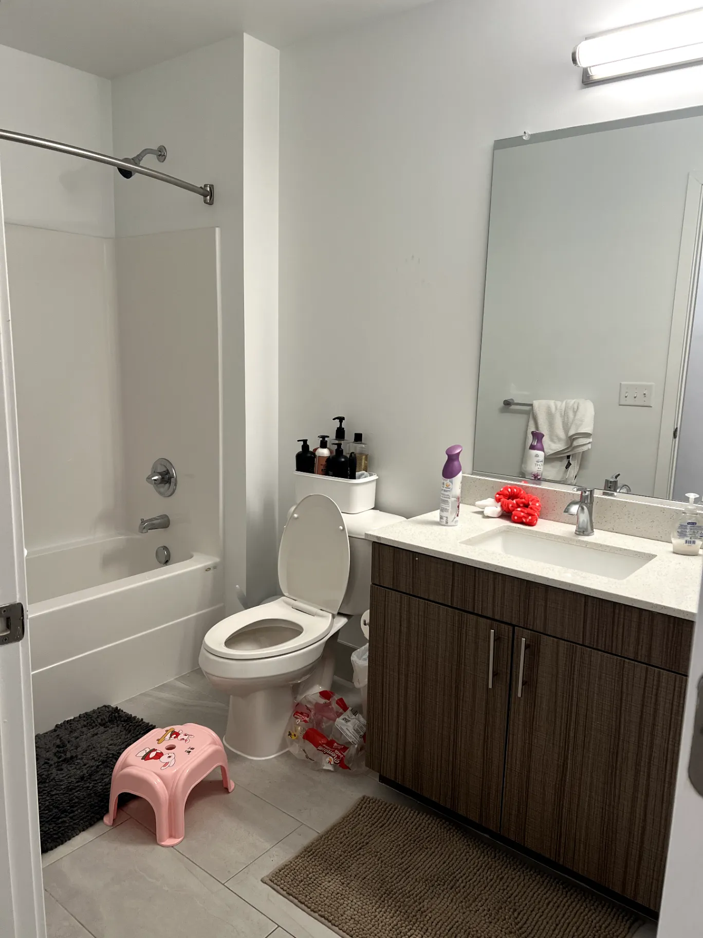 Spring 2026 sublet near UMD — photo 4