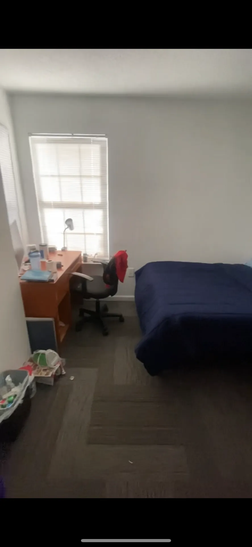 Spring 2026 sublet near UMD — photo 3