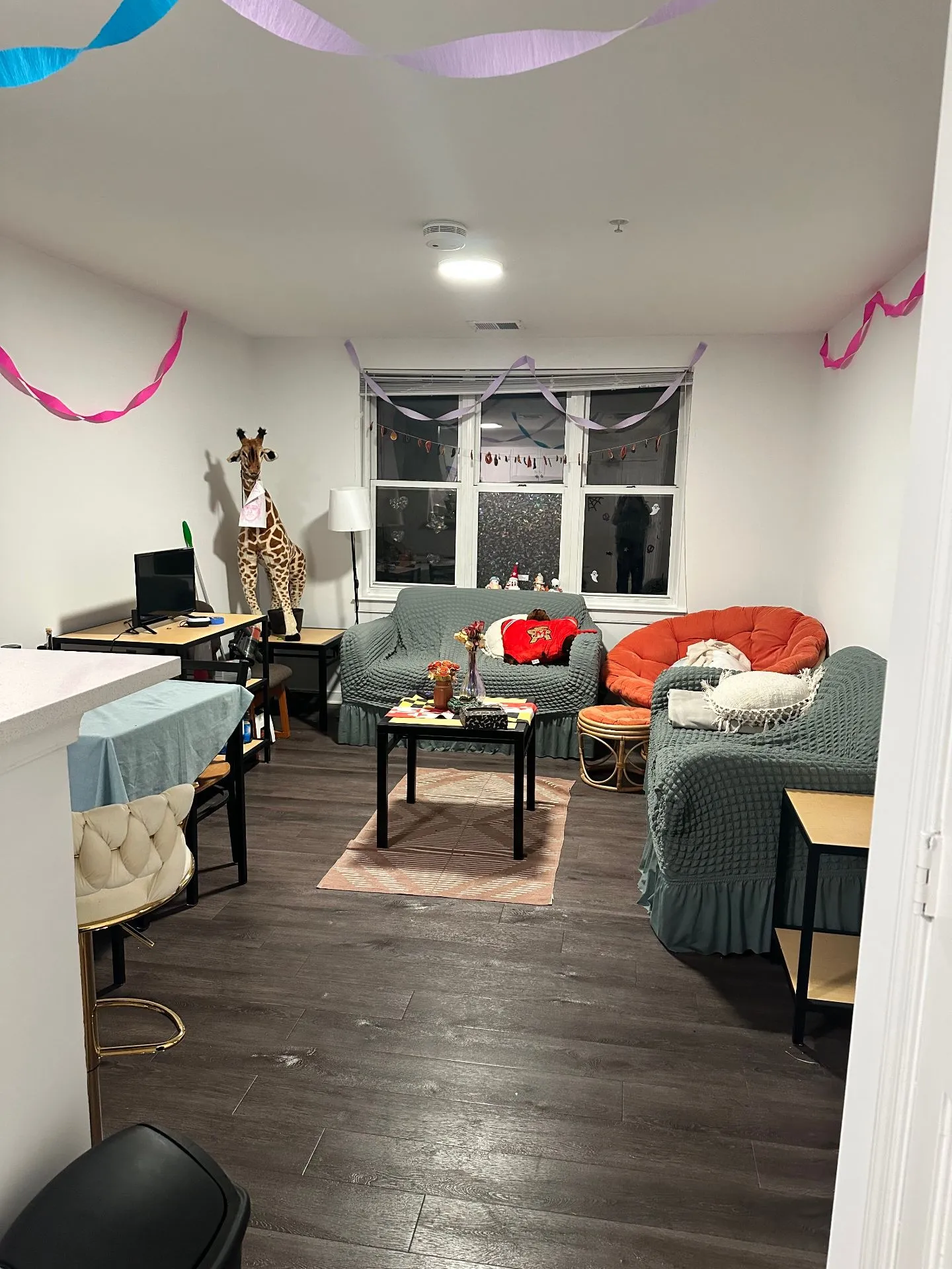 Spring 2026 sublet near UMD — photo 4