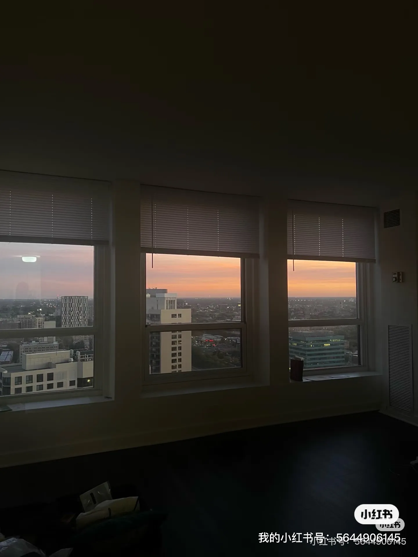 Winter 2026 sublet near UChicago — photo 3