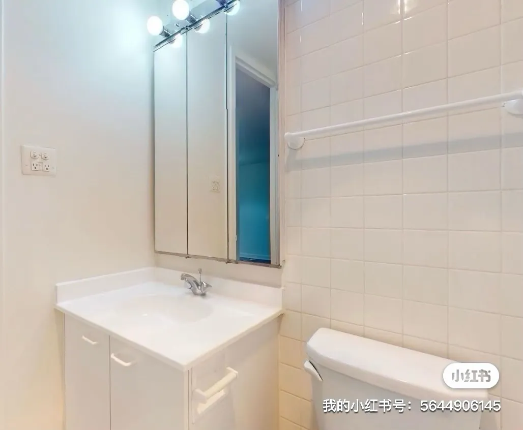 Winter 2026 sublet near UChicago — photo 4
