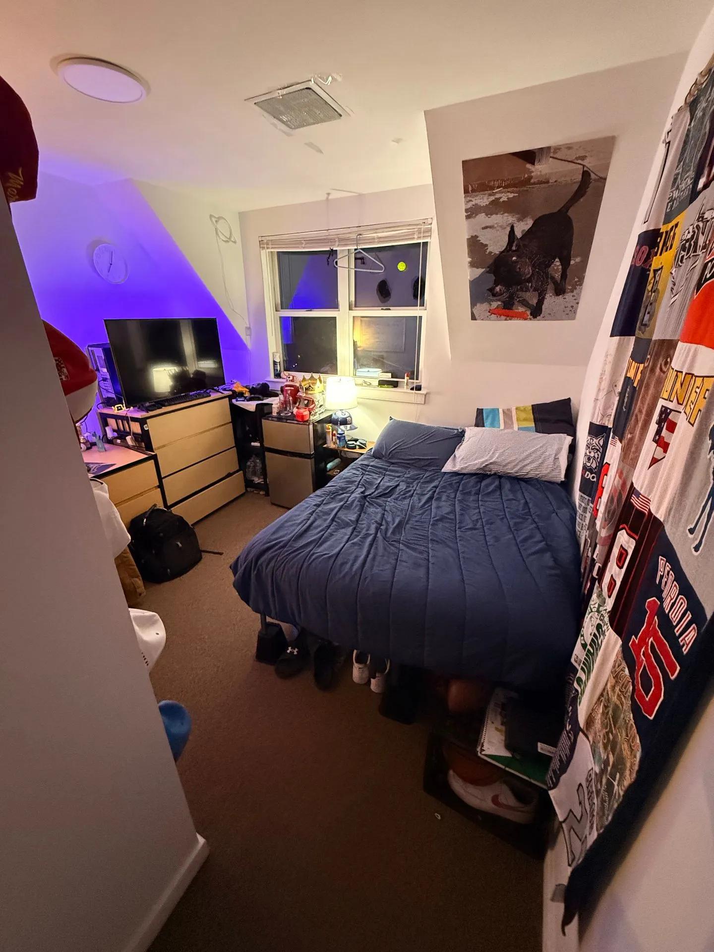 Spring 2026 sublet near UMD — photo 5