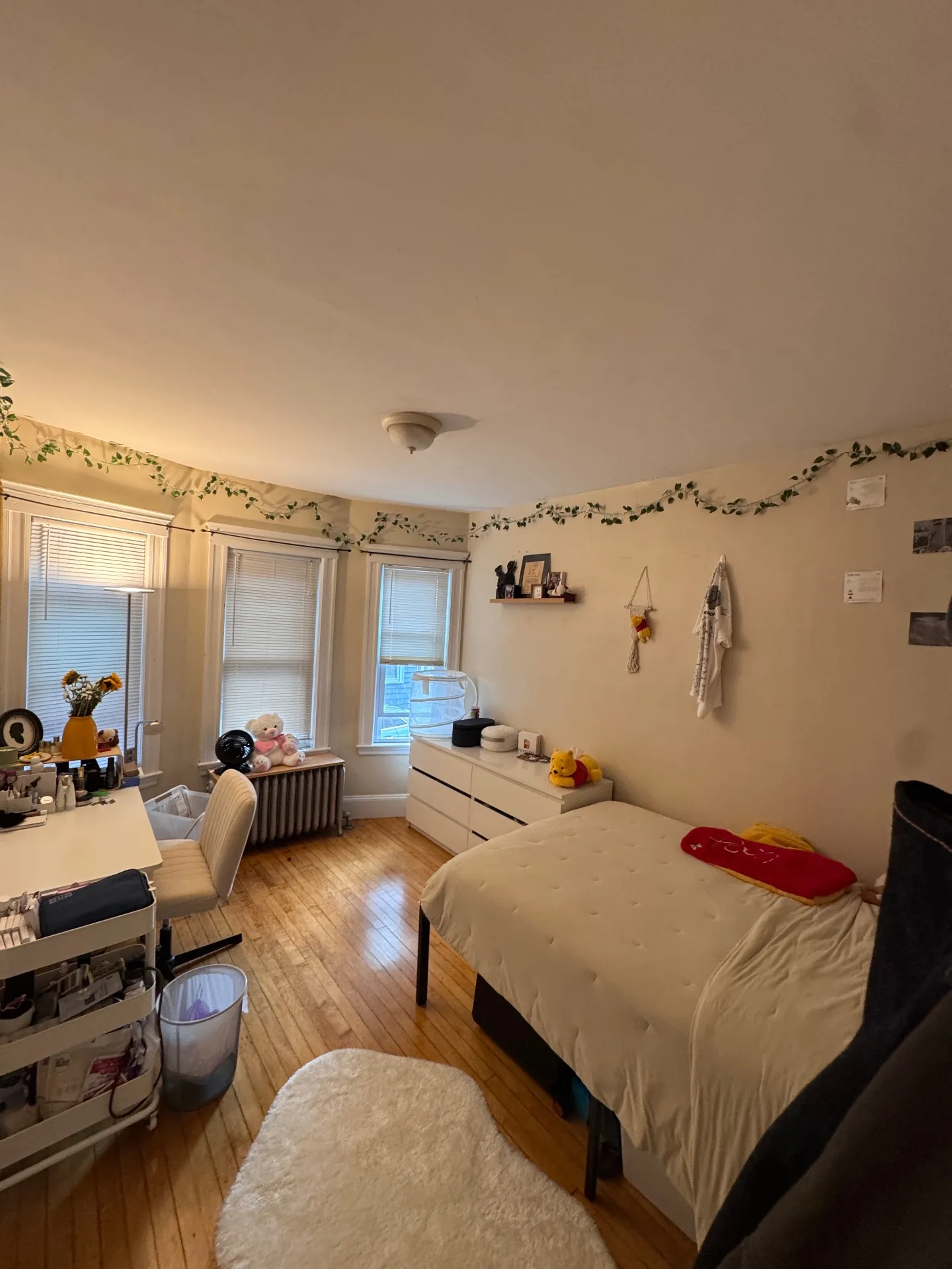Spring 2026 sublet near Tufts — photo 1