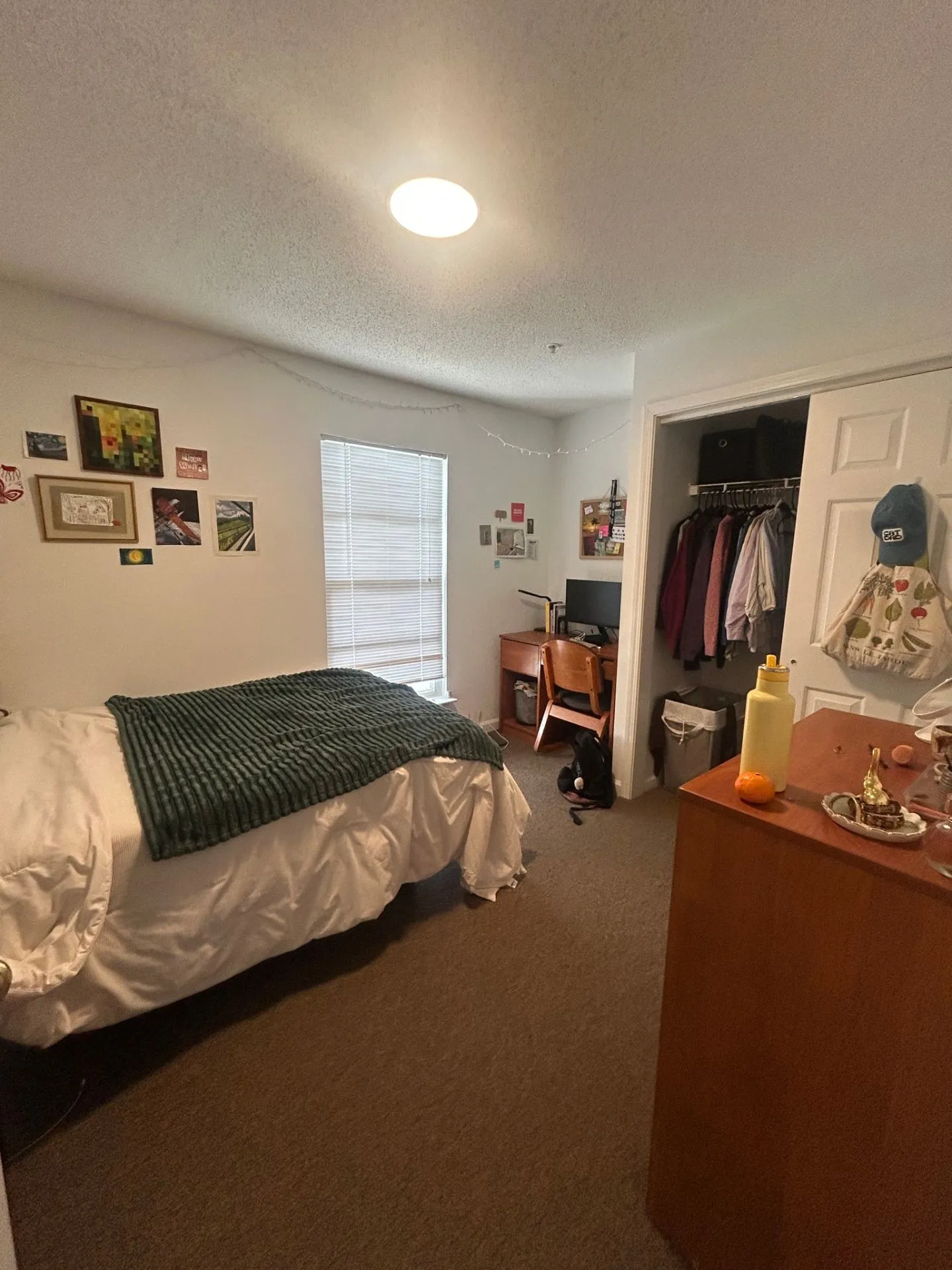 Spring 2026 sublet near UMD — photo 5