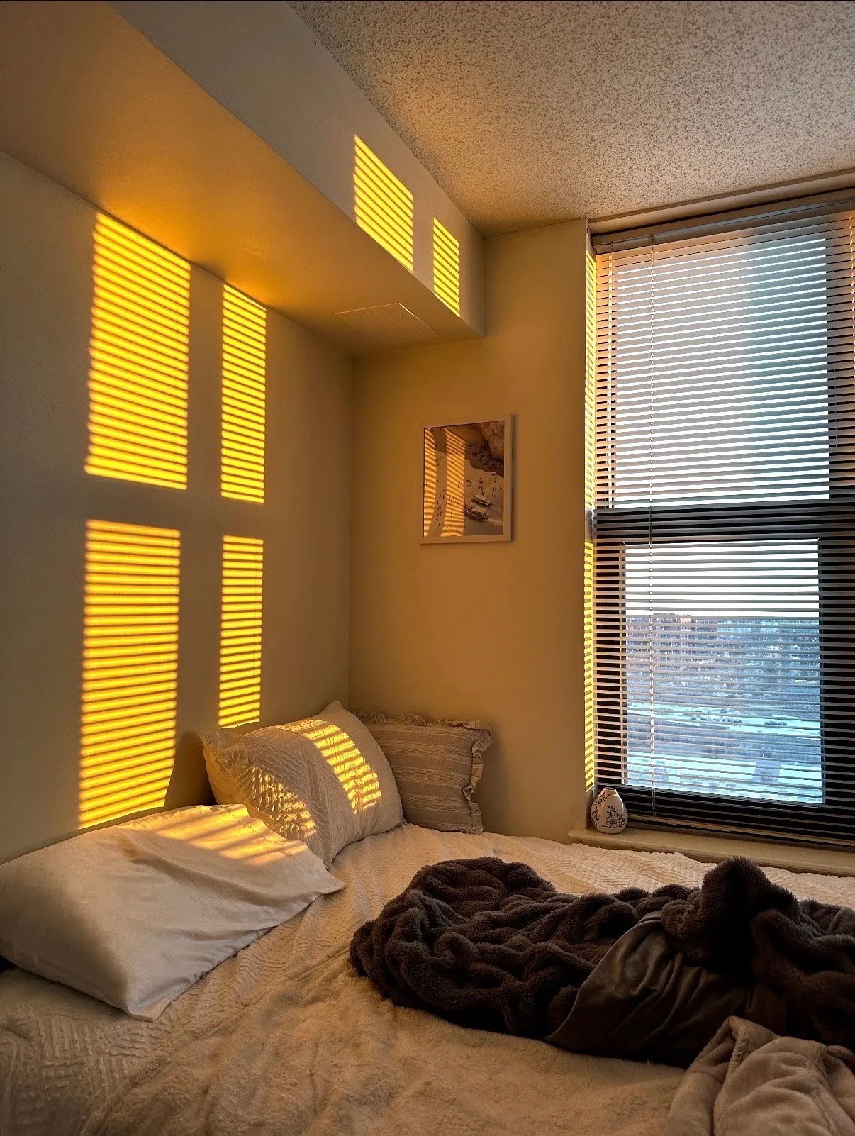 Fall 2026 sublet near UMD — photo 5
