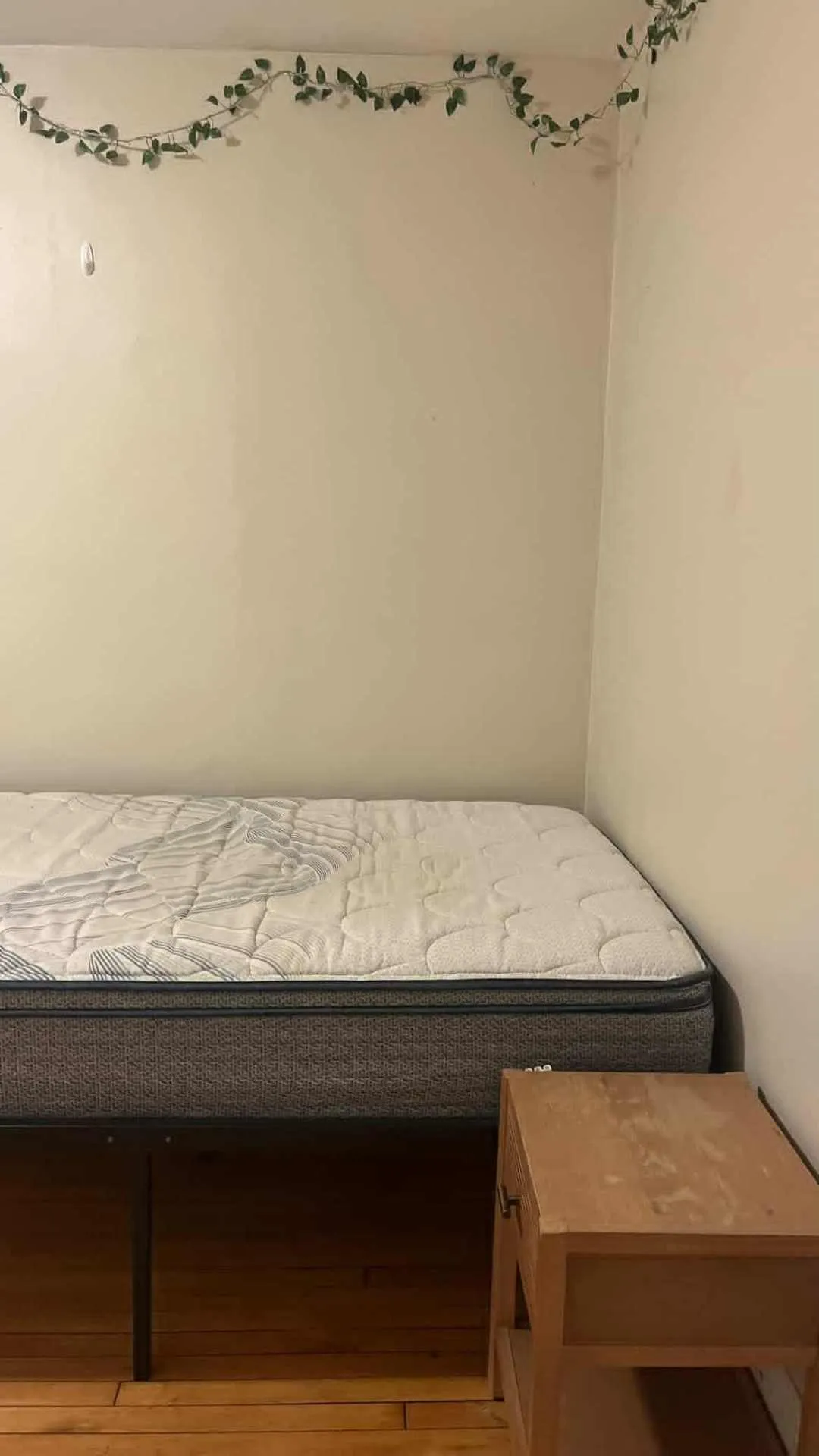 Summer 2026 sublet near Tufts — photo 3