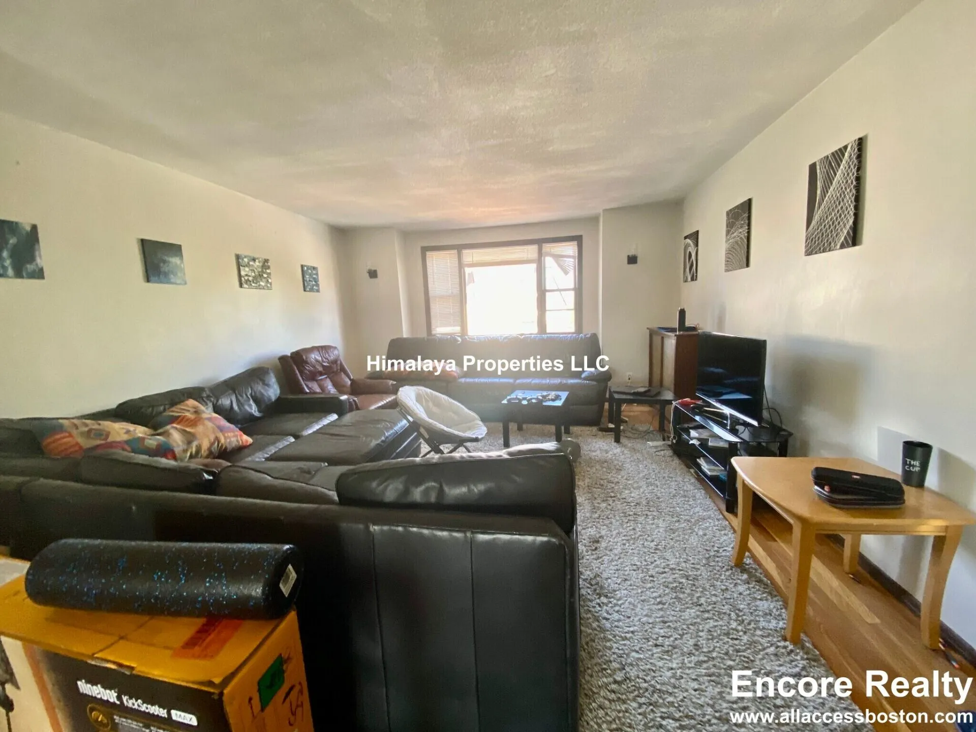Spring 2027 sublet near Tufts — photo 4