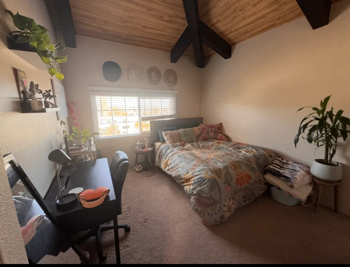 Spring 2027 sublet near CU Boulder — photo 1