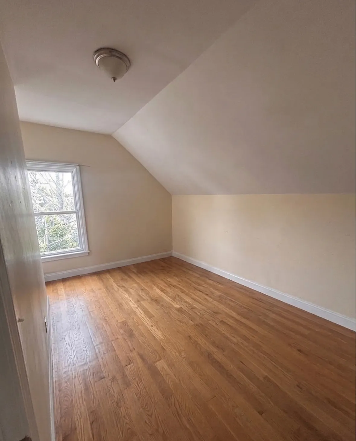 Summer 2026 sublet near Tufts — photo 4