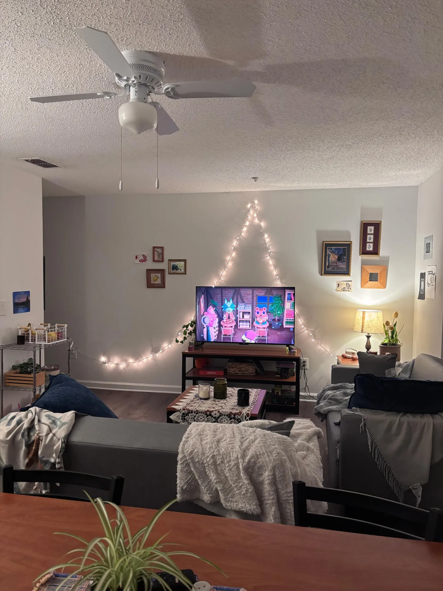 Summer 2026 sublet near UMD — photo 2