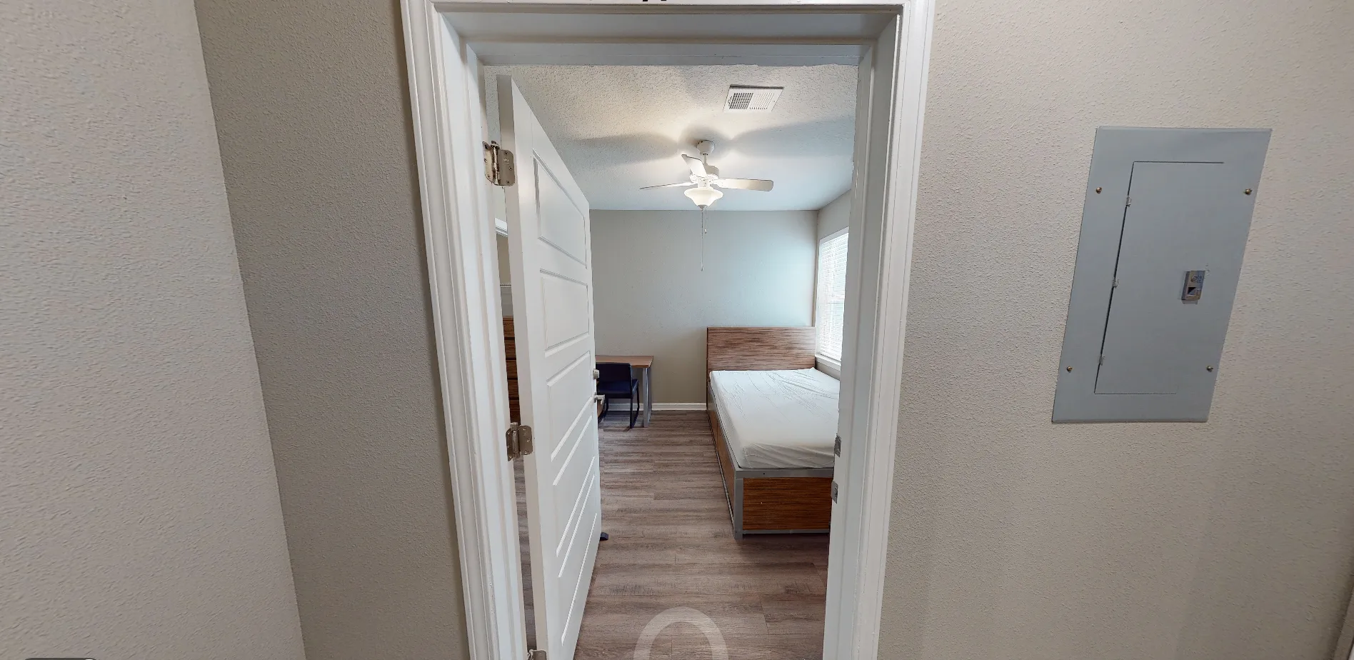 Fall 2026 sublet near USF — photo 4