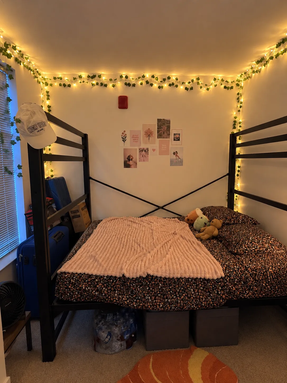 Spring 2027 sublet near UMD — photo 3