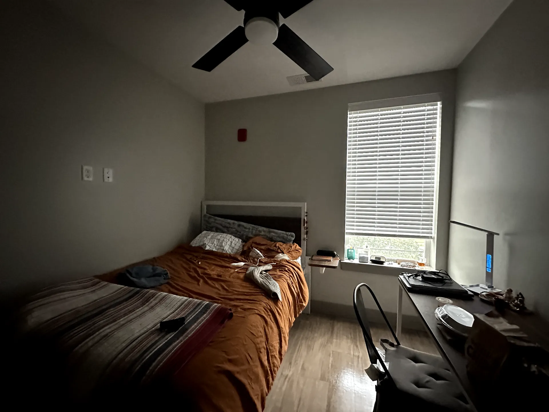 Spring 2027 sublet near UMD — photo 4