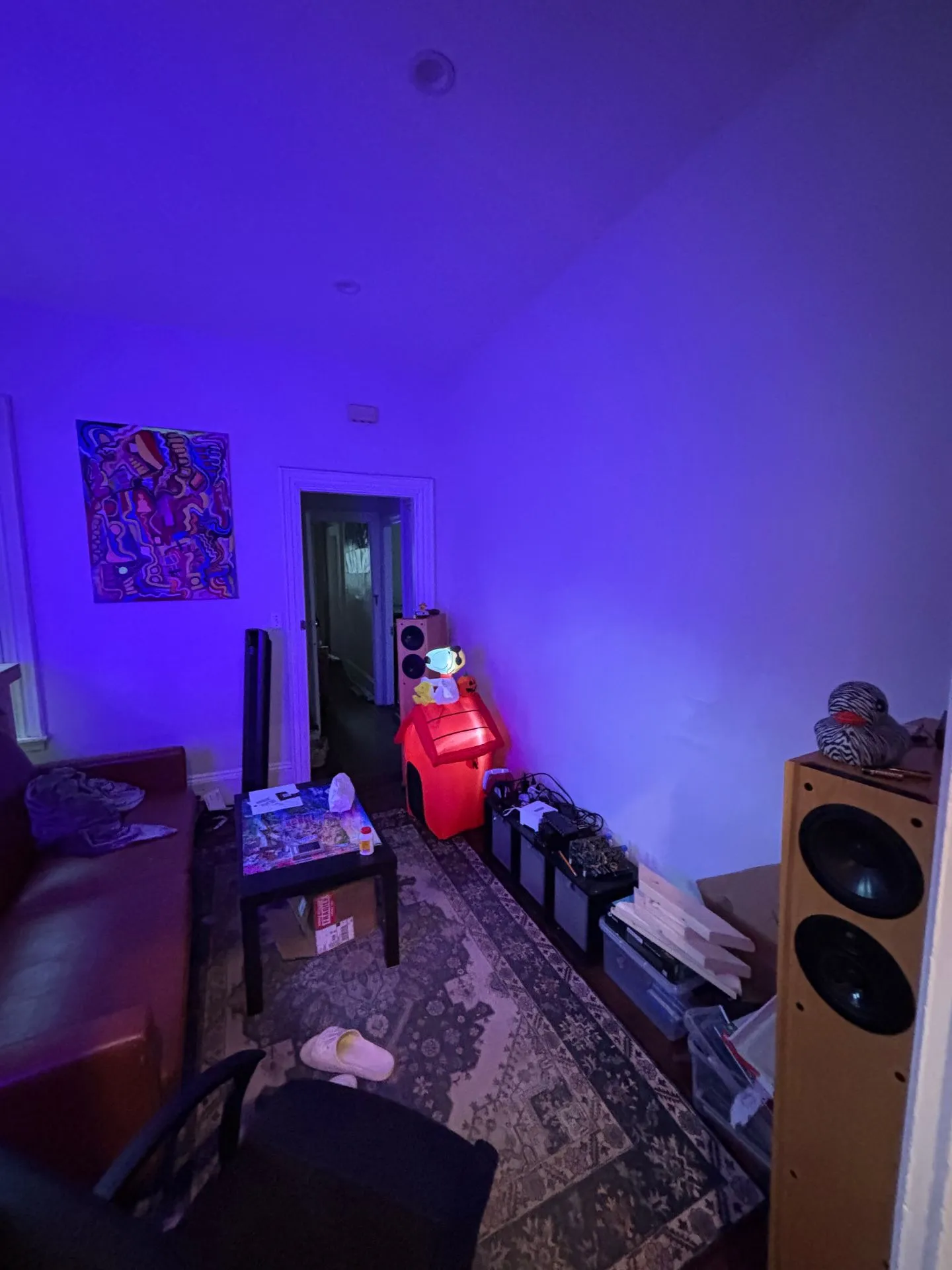 Spring 2027 sublet near Tufts — photo 4